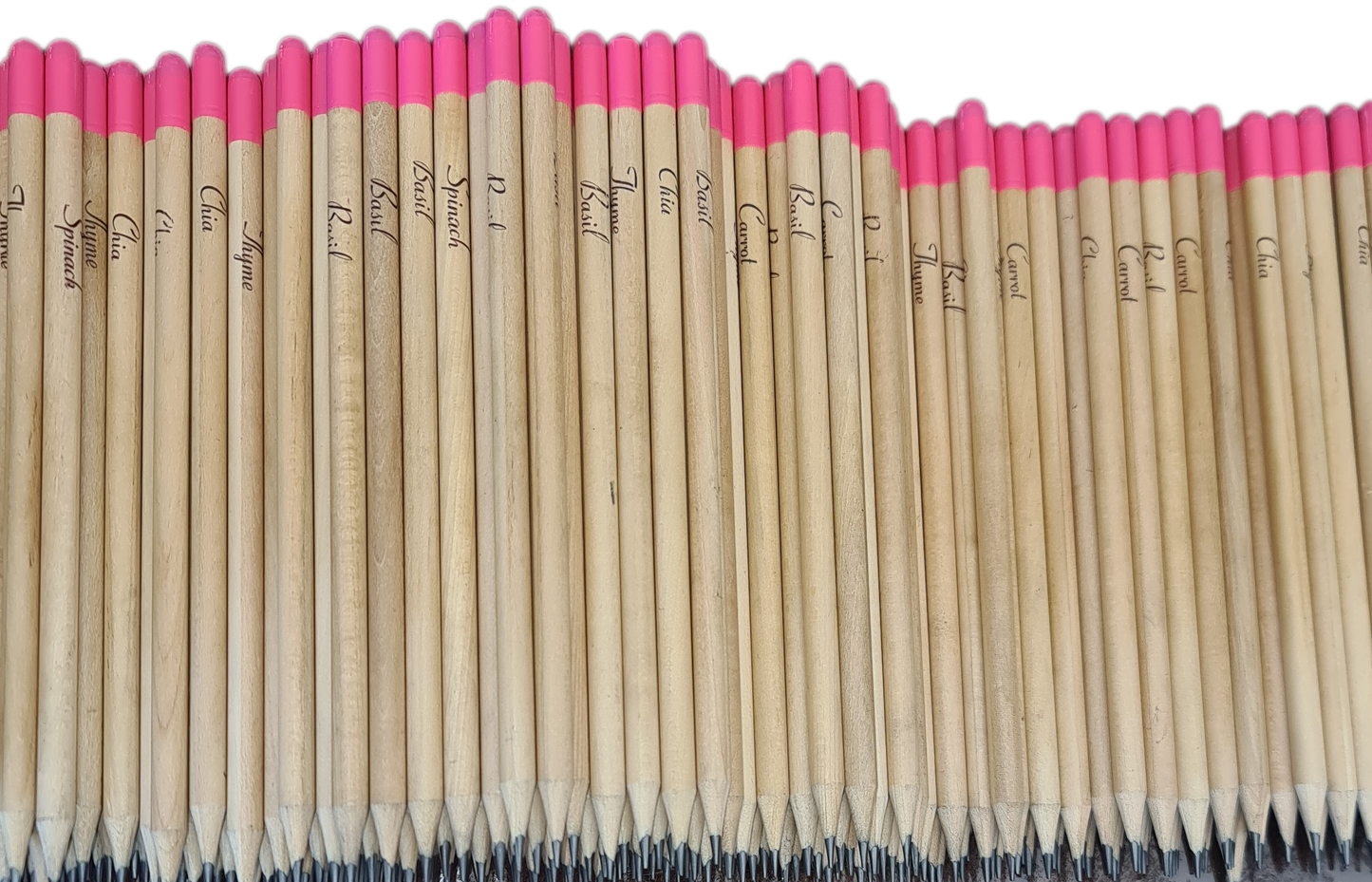 Pencils with seeds, AKA Seedpencils. Pink tip