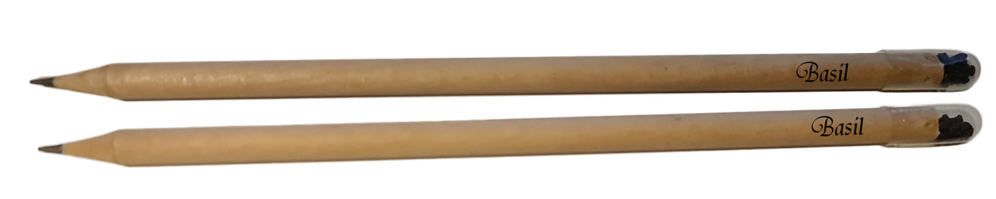Eco pencil with seeds. Longlasting gifts