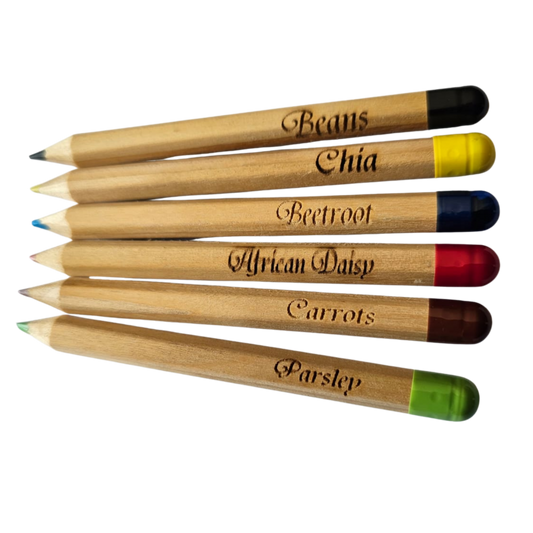 Colouring-in seed-pencils