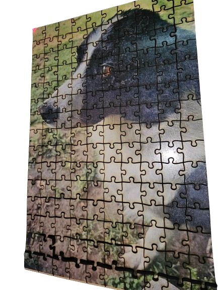 Personalised photo-puzzle
