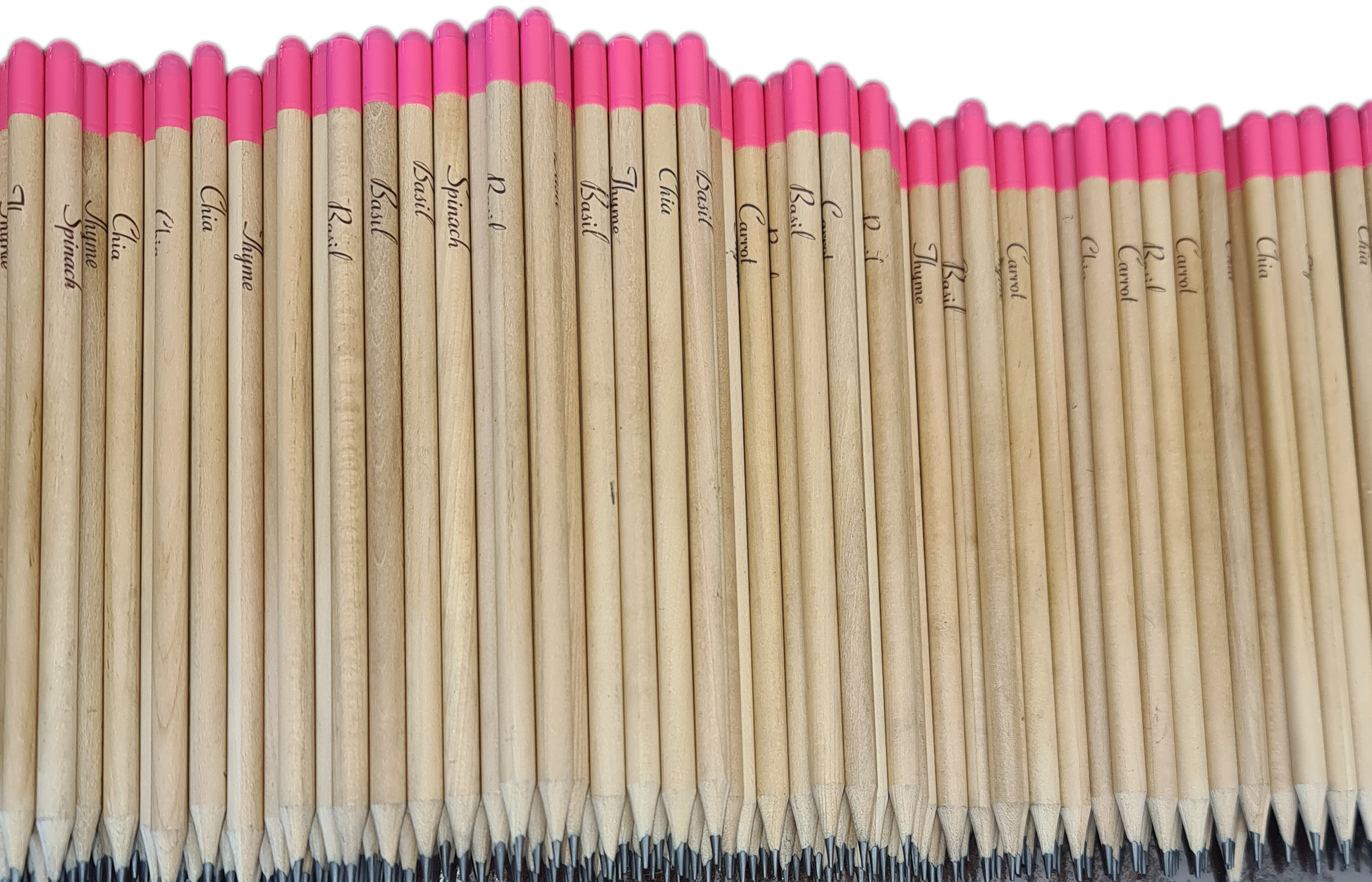 Seed pencils - pink tip.  