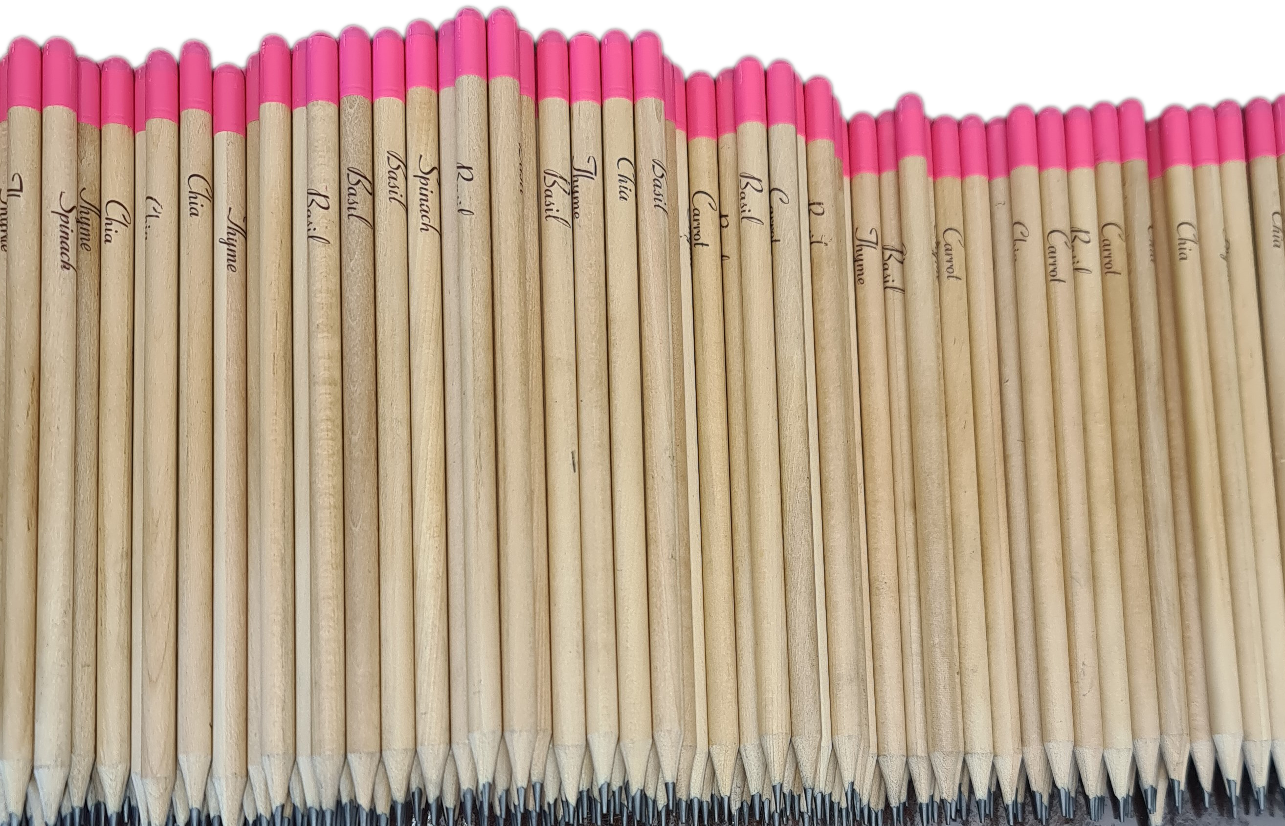 Pencils with seeds, AKA Seedpencils.  Pink tip