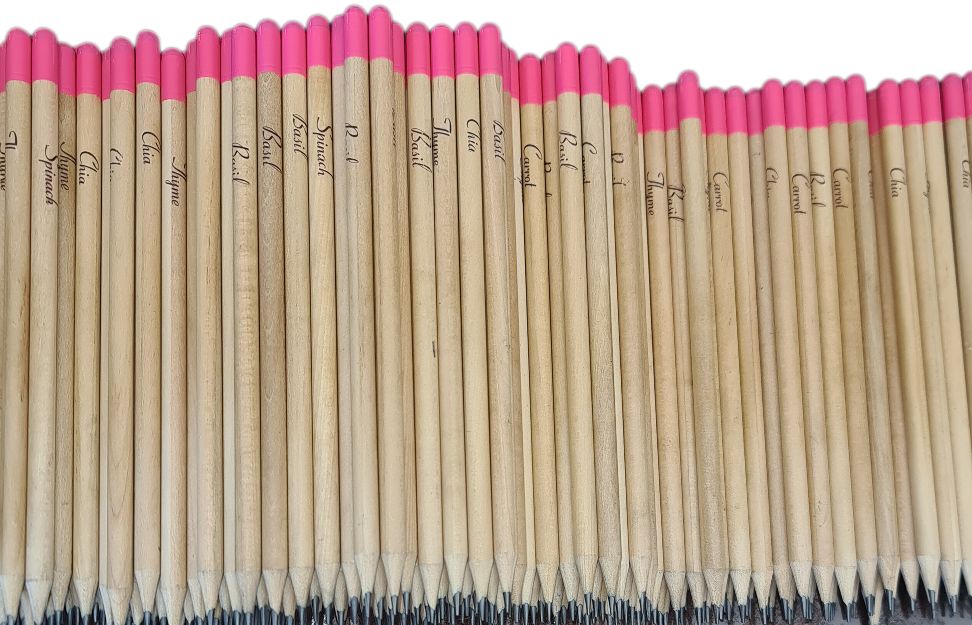 Pencils with seeds, AKA Seedpencils.  Pink tip